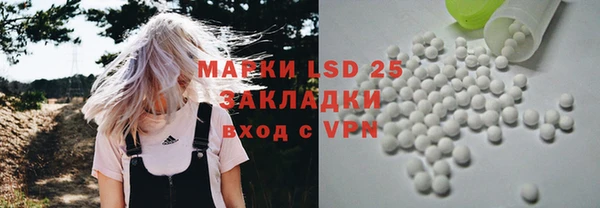 сатива Лабытнанги