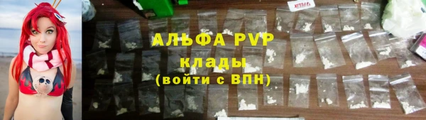 сатива Лабытнанги