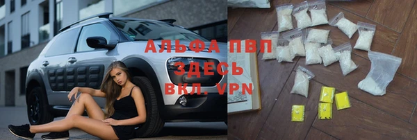 соль курить ск Ладушкин