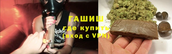 сатива Лабытнанги