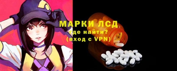 сатива Лабытнанги