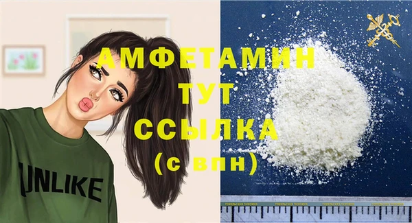 сатива Лабытнанги
